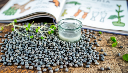 3 cose che non sai sui SEMI DI CHIA